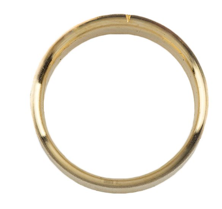 Check Valve Support Ring
