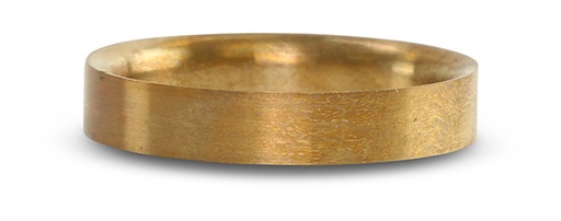 [303274] Check Valve Support Ring